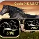 تطبيق NDASAT TV APK | كود تفعيل Code Ndasat الجديد 2024