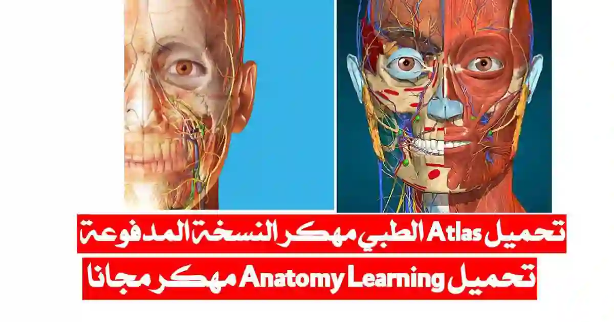 تحميل تطبيق اطلس الطبي Atlas مهكر Anatomy Learning مجانا 3D